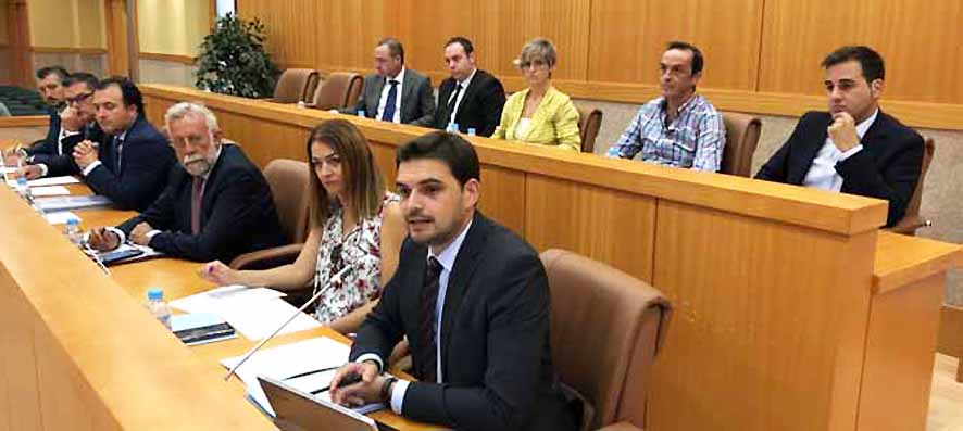 pleno talavera pp